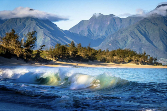 Illuminate Your Memories: How Haleakalā Candle Co. Evokes Joy Through Scent