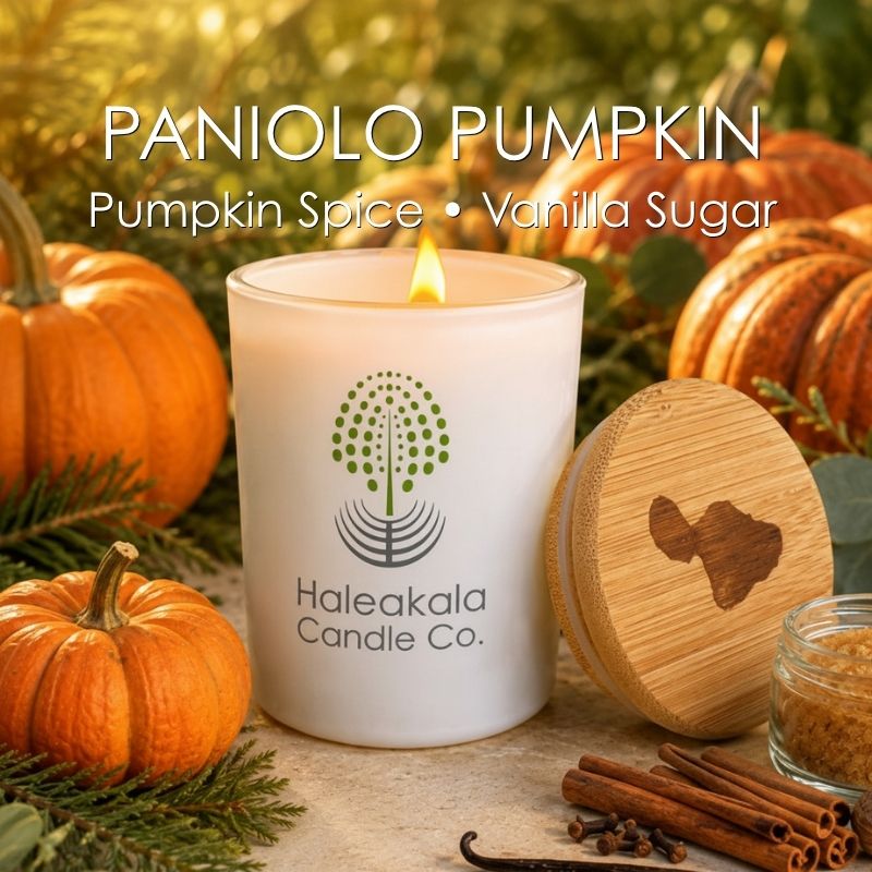 Paniolo Pumpkin Soy Candle • Upcountry Maui Fall Scent