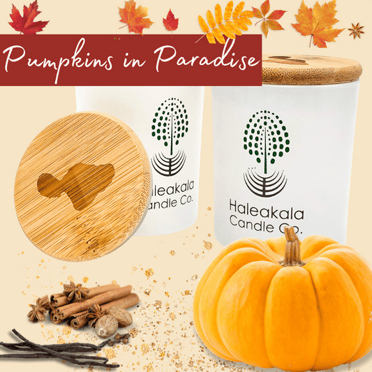 'Pumpkins in Paradise'  Organic Soy Wax Candle